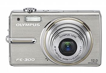 FE-300