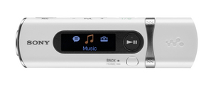 NWZ-B100
