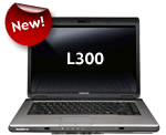 L300