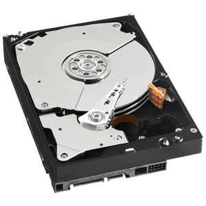 WD1001FALS