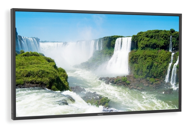 NEC MultiSync P401