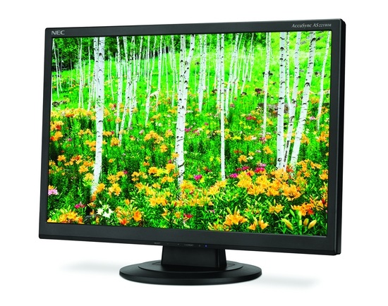 NEC AccuSync AS221WM LCD Monitor