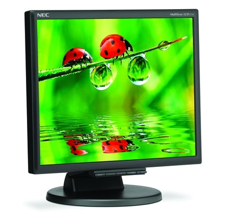 NEC LCD175M 17-inch LCD Monitor